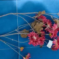 گل وگلدان|گل مصنوعی|مهاباد (آذربایجان غربی), |دیوار