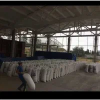 پذیرش سرمایه گذارو شریک جهت صادرات|استخدام مالی، حسابداری، حقوقی|تهران, شهرک غرب|دیوار