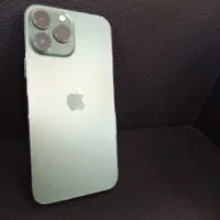 iphon 13 poromax 256 green