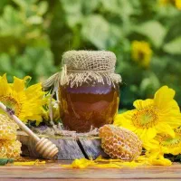 عسل وحشی|خوردنی و آشامیدنی|مرودشت, ثبت احوال|دیوار