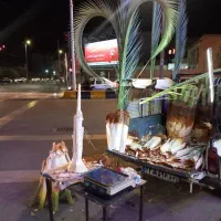 قطع نخل ودرخت درباغ ومنزل