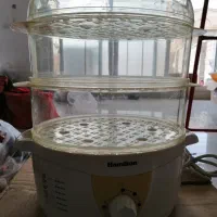 بخار پز همیلتون