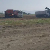 خرید چغندر|خدمات باغبانی و درختکاری|بیستون, |دیوار