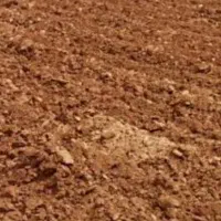 فروش-زمین