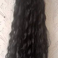 کلاه گیس