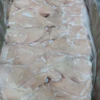 فروش ویژه شنسل منجمد