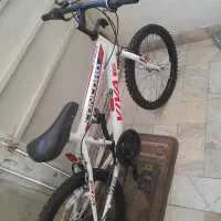 ۲۰حرفه ای دنده ای