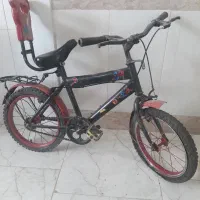 دوچرخه واسیکیت