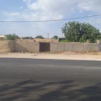 فروش زمین ویلایی ۲۵۰ متری با دیوارکشی کامل و درخت