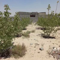 فروش زمین ۲۶۰۰ متری در آبشار|فروش زمین و ملک کلنگی|اصفهان, آبشار|دیوار