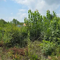 خونه-روستایی-جاده-فومن