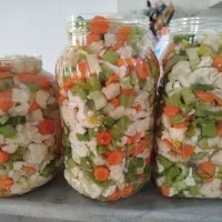 سبزیجات آماده پنیر لیقوان کره ترشی رب|خوردنی و آشامیدنی|ایلخچی, |دیوار