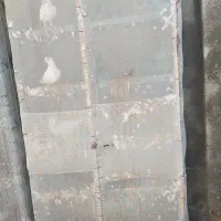 جفت کن|لوازم جانبی حیوانات|بندرعباس, |دیوار