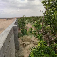 فروش-زمین-باغی-نزدیک-به-ترمینال-شاهین-شهر