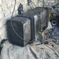 باک مینی بوس