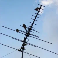 نصب آنتن، تنظیم آنتن، نصاب