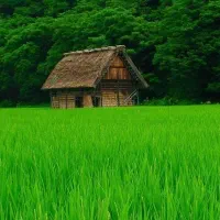 تور تفریحی شمال  ویژه بانوان