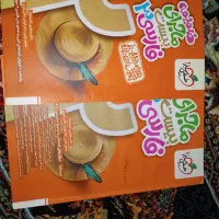 ماجرای بیست  فارسی 3 دوازدهم