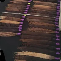 صادر کننده مو