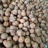 دو نفر کارگر اقا