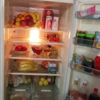 یخچال فریزر ایتالیایی تکنوکیت