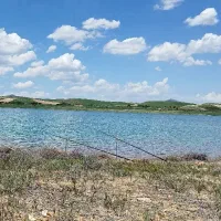 ماهیگیری