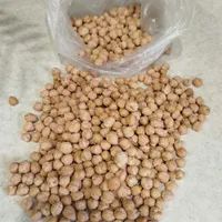 نخود آبگوشتی