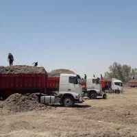 کاه نیشکر|لوازم جانبی حیوانات|تبریز, |دیوار