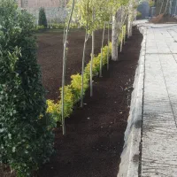 ارایه خدمات نوین دانش بنیان کشاورزی|خدمات باغبانی و درختکاری|باسمنج, |دیوار