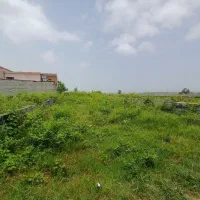 زمین-جنگلی-الحاق-بافت210مترباسندجاده-جنگلی-ایزدشهر