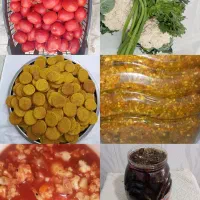 سالاد فصل موجود است