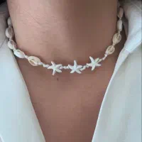 بدلیجات