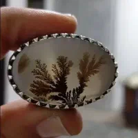 شجر سیاه قلم