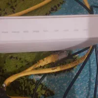 وای فای هاوایی