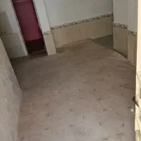 پالاز موکت|موکت|چمران, |دیوار