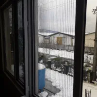 تولید و تعمیر توری پلیسه|مصالح و تجهیزات ساختمان|رشت, شهرک صبا|دیوار