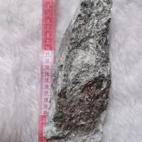 پیریت کلکسیونی|کلکسیون اشیاء عتیقه|پرند, فاز ۱|دیوار