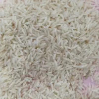 برنج بلند کلات