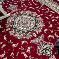 فرش|فرش|شوش, |دیوار