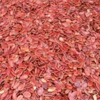 تخمه ژاپنی