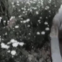 نیازمند مستخدم دائمی