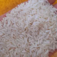 برنج هاشمی و لاشه و نیم دانه هاشمی|خوردنی و آشامیدنی|رشت, استقامت ۲|دیوار