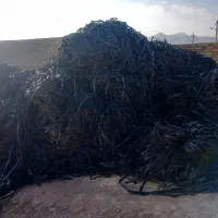 ضایعات نوار تیپ