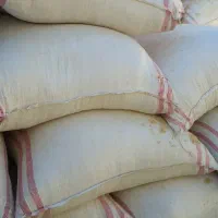 فروش کاه دیم قاین ابومنسور۳