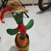 کاکتوس سخنگو200