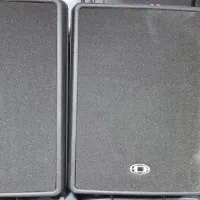 یک جفت باند دایناکورد D12