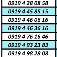 0919.3087616|سیم‌کارت|کرج, بنیاد|دیوار