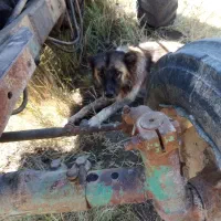 سلام ادرس شهرستان هریس روستای اربطان