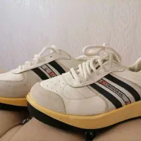 کفش نو|کیف، کفش، کمربند|مراغه, |دیوار