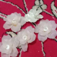 700000|حراج|برازجان, |دیوار
